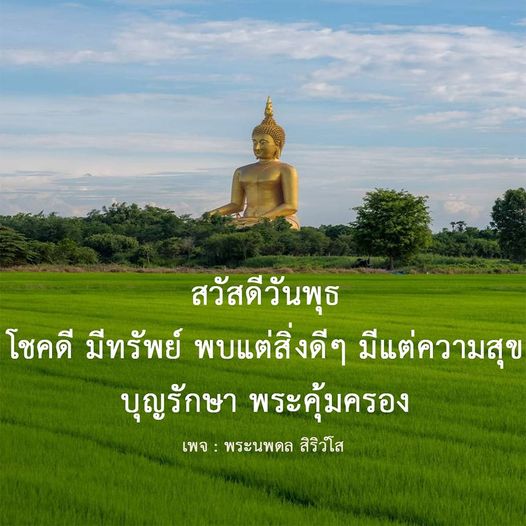 การ์ด No.8953:ภาพสวัสดียามเช้า