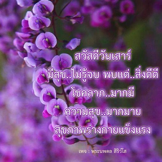 พบกับความสุขและโชคลาภในวันเสาร์นี้กับพระนพดล สิริวํโส ที่จะนำพาคุณไปสู่สิ่งดีๆ และสุขภาพที่แข็งแรงตลอดทั้งวัน