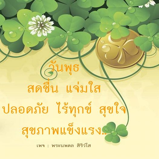 การ์ด No.8266:ภาพสวัสดียามเช้า