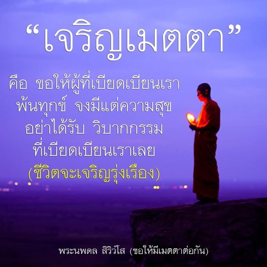 เรียนรู้แนวทางการเจริญเมตตาเพื่อให้ผู้ที่เบียดเบียนเราได้พ้นทุกข์ และสร้างความสุขในชีวิต โดยพระนพดล สิริวํโส เสนอแนวคิดที่ช่วยให้ชีวิตเจริญรุ่งเรืองและมีความสงบสุข