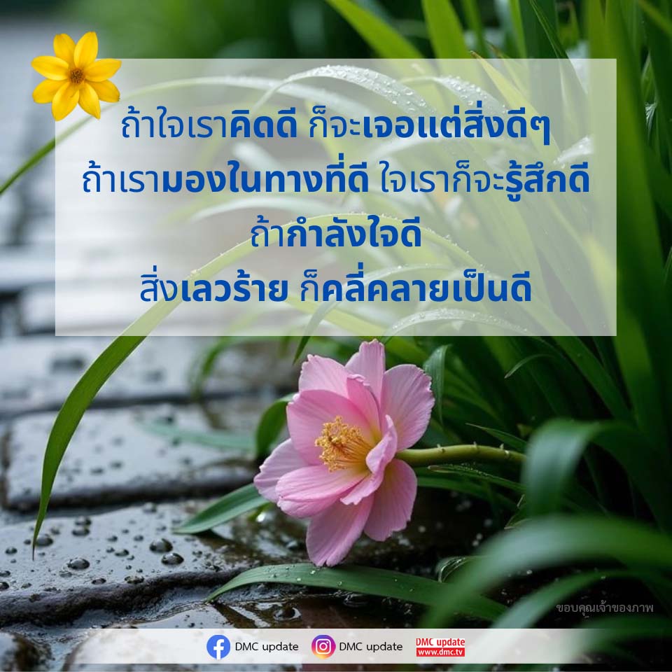 คิดดี ชีวิตดี: เส้นทางสู่ความสุขและกำลังใจ