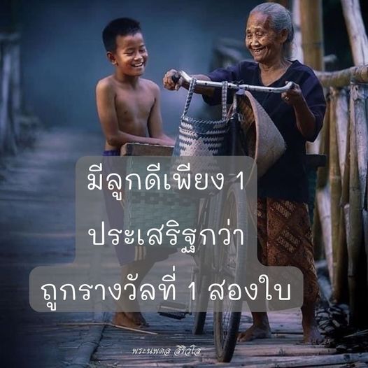 การ์ด No.8611:พระนพดล สิริวํโส