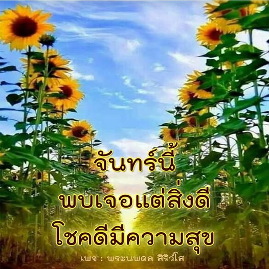 การ์ด No.11832:ภาพสวัสดียามเช้า