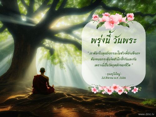 วันพระ เราชาวพุทธควรเข้าวัดปฏิบัติธรรม 
ทำบุญตักบาตรให้ชีวิตสัตว์เป็นทาน
เป็นการสั่งสมบุญบารมีและสืบทอดพุทธประเพณีที่งดงามสืบต่อไป