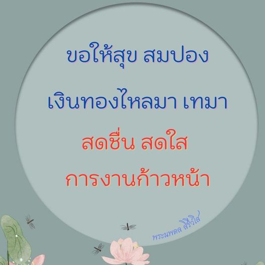 การ์ด No.9003:พระนพดล สิริวํโส
