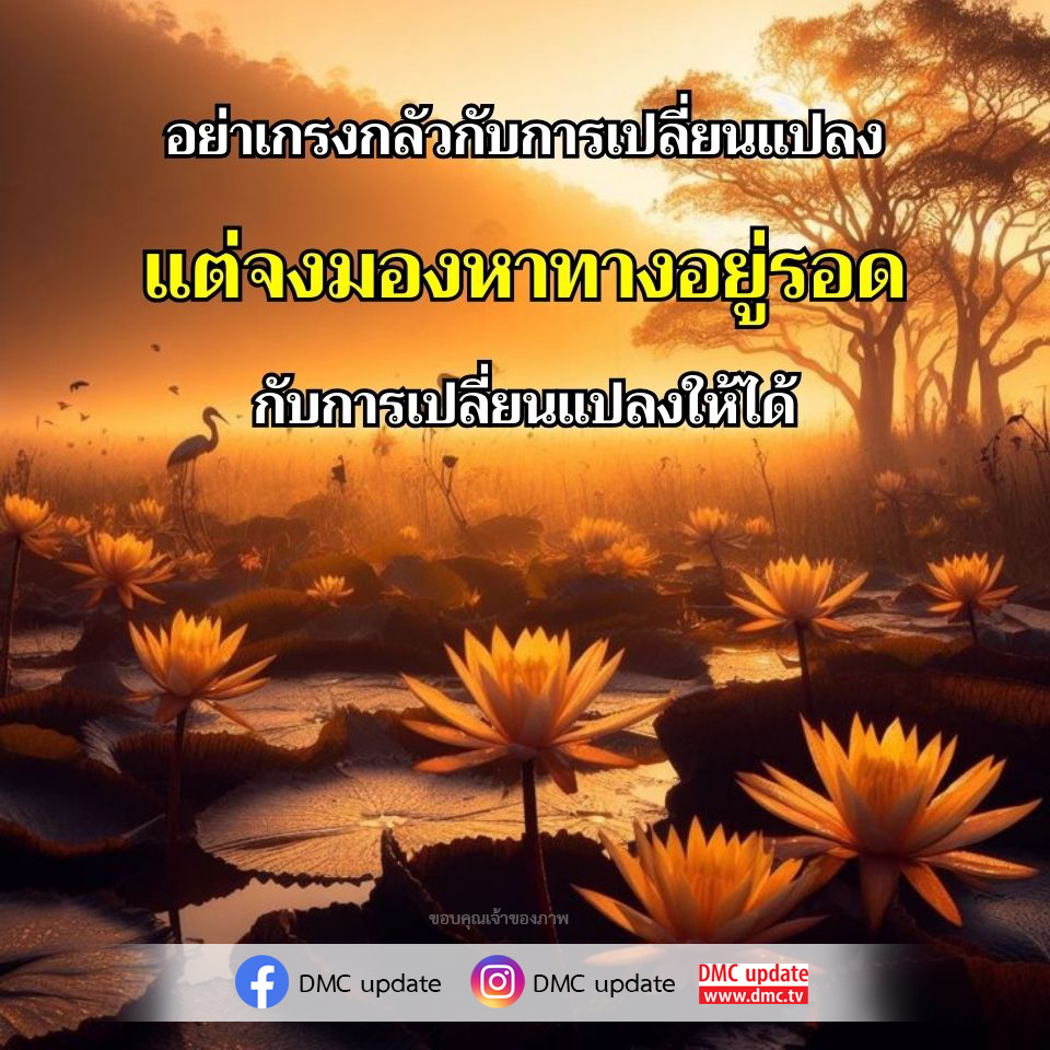 อย่าเกรงกลัวกับการเปลี่ยนแปลง แต่จงมองหาทางอยู่รอดในยุคใหม่ พร้อมกับ DMC update ที่จะช่วยให้คุณปรับตัวและพัฒนาตนเองในทุกสถานการณ์