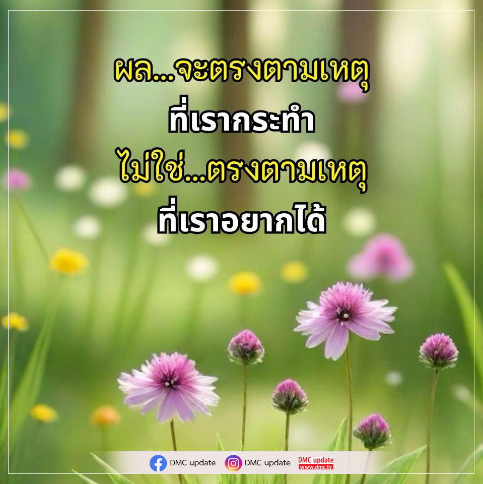 DMC Update: ผลที่ตรงตามเหตุการณ์และการกระทำ