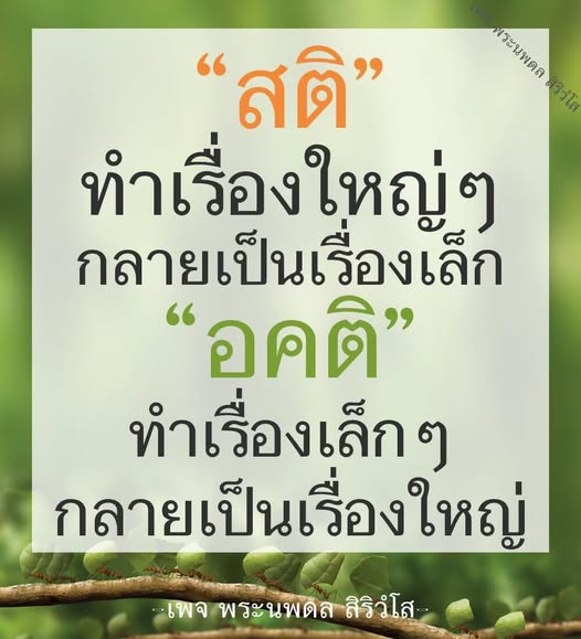 เรียนรู้วิธีการใช้สติในการทำให้เรื่องใหญ่กลายเป็นเรื่องเล็ก และการหลีกเลี่ยงอคติที่ทำให้เรื่องเล็กกลายเป็นเรื่องใหญ่ ผ่านแนวคิดและการสอนจากพระนพดล สิริวํโส