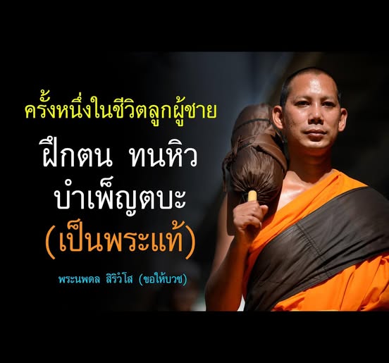 การ์ด No.11891:พระนพดล สิริวํโส