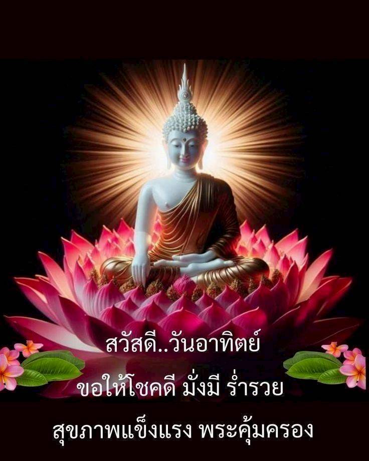 การ์ด No.15724:ทั่วไป