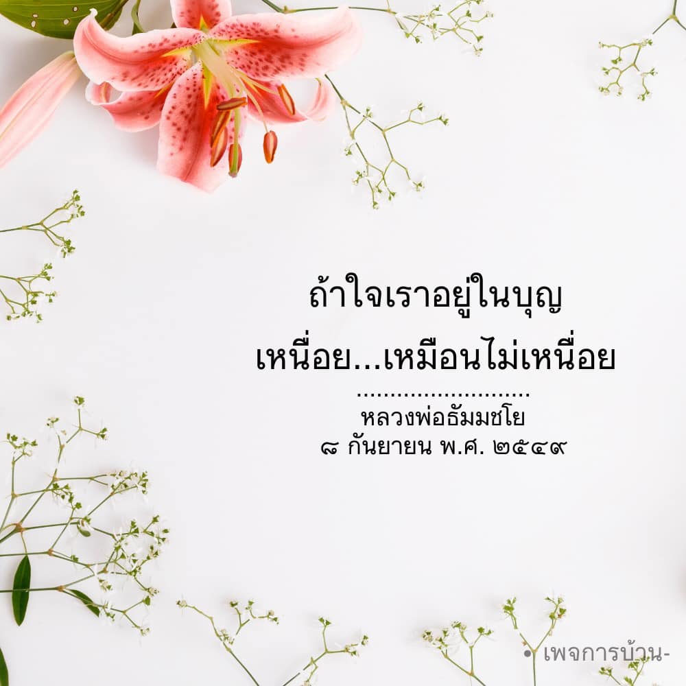 การ์ด No.15125:ทั่วไป