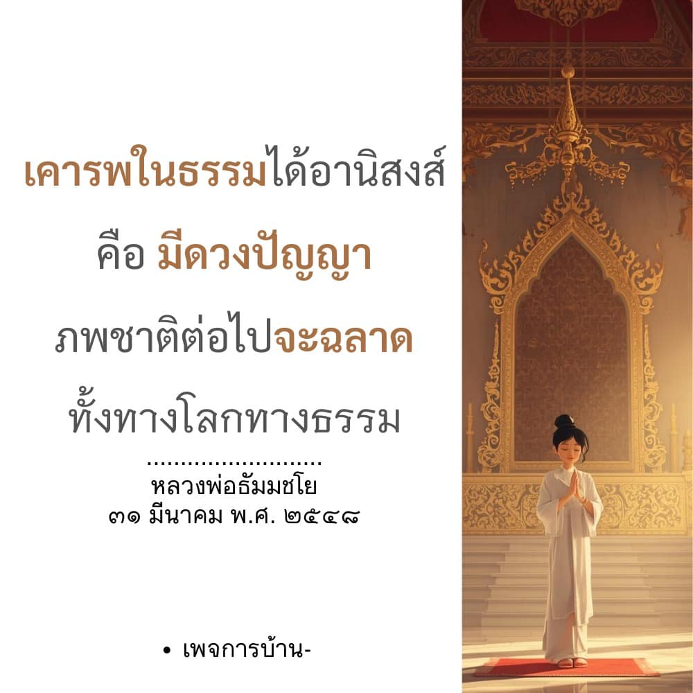 ภาพ No.16884:ทั่วไป