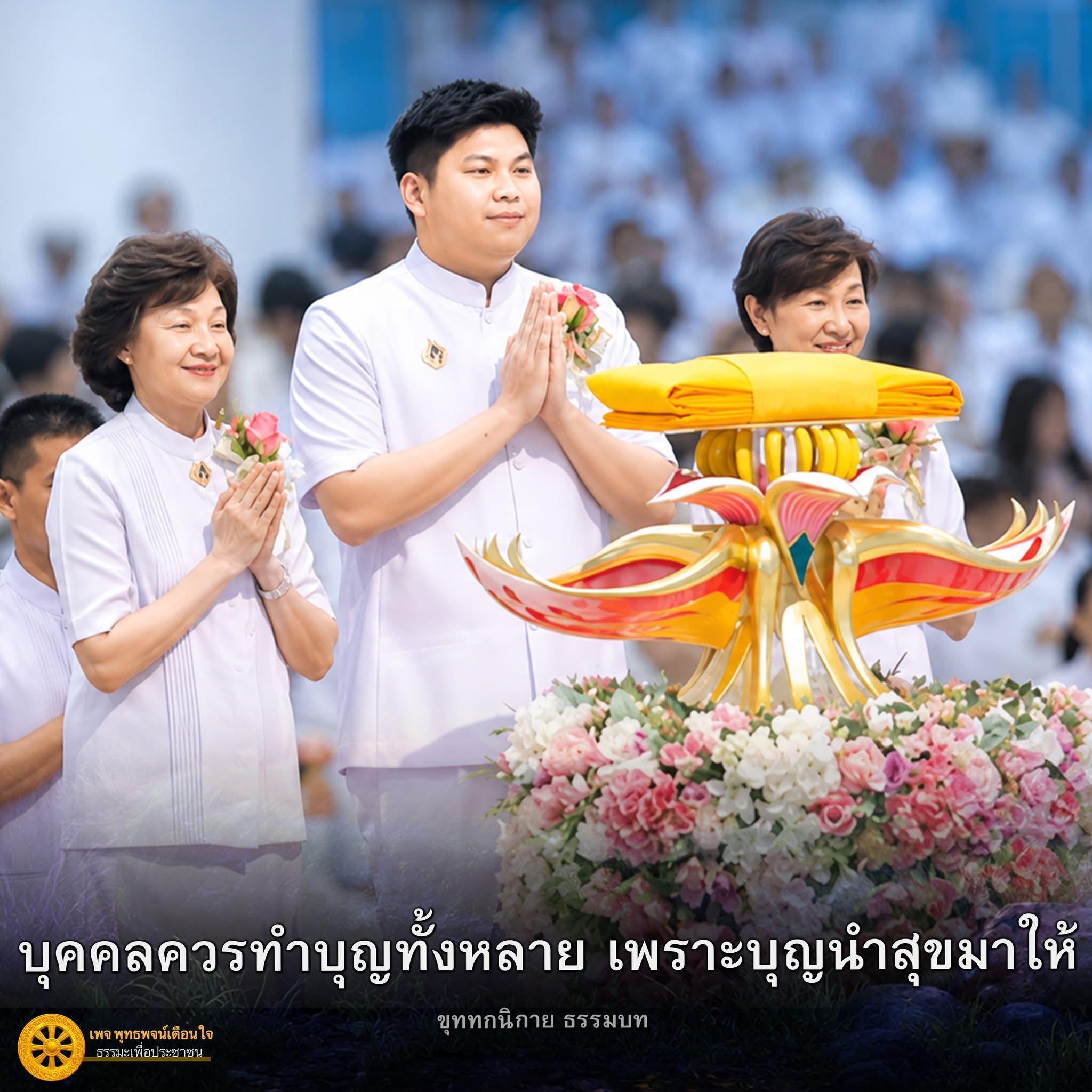 ภาพ No.18297:ทั่วไป