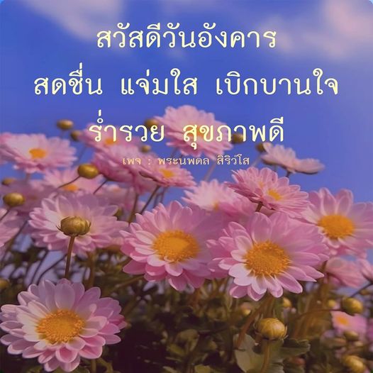 การ์ด No. 8581 : ภาพสวัสดียามเช้า