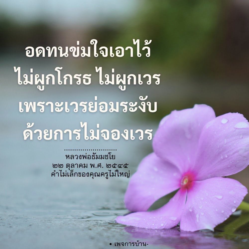คำสอนจากหลวงพ่อธัมมชโย: การอดทนและการไม่จองเวร