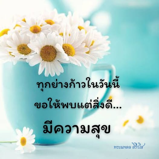การ์ด No.12114:ภาพสวัสดียามเช้า