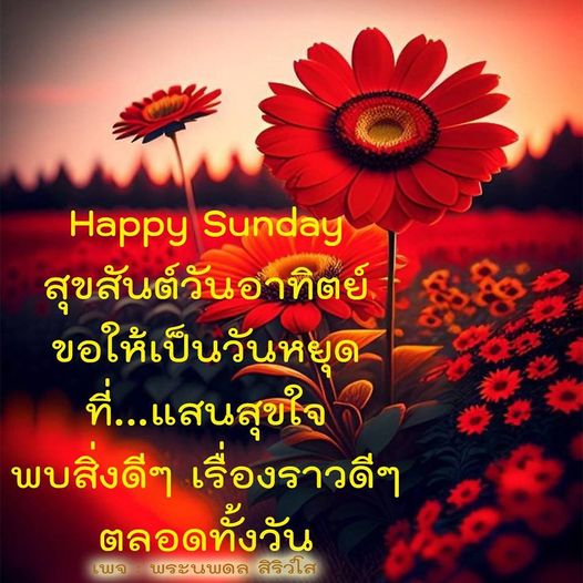 สุขสันต์วันอาทิตย์: วันหยุดแสนสุขใจ