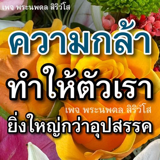 การ์ด No.11679:พระนพดล สิริวํโส