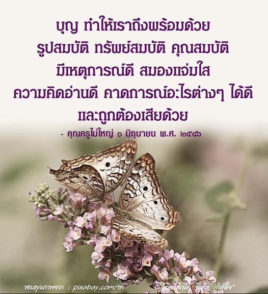 ค้นพบวิธีการใช้บุญในการสร้างชีวิตที่ดีขึ้น พร้อมกับการพัฒนาคุณสมบัติที่ส่งผลต่อความสำเร็จในชีวิต การมีสมองแจ่มใสและความคิดอ่านที่ดีจะช่วยให้คุณคาดการณ์และตัดสินใจได้อย่างถูกต้อง