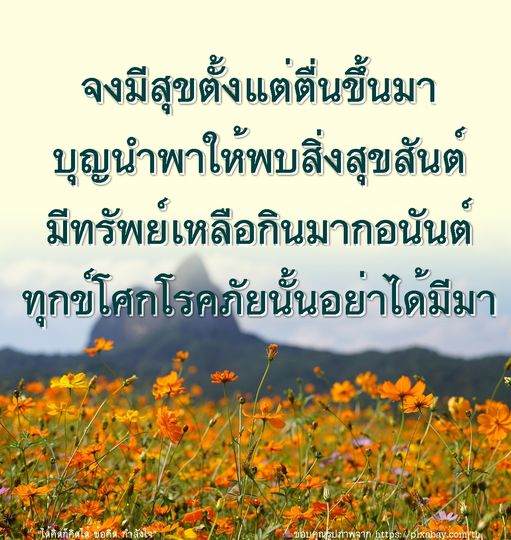 อ่านคำคมสร้างกำลังใจ 'มีสุขตั้งแต่ตื่นขึ้นมา' เพื่อเติมเต็มความสุขในชีวิตและรับพลังบวกในทุกวัน พร้อมกับแนวคิดในการใช้ชีวิตอย่างมีความสุขและปราศจากทุกข์
