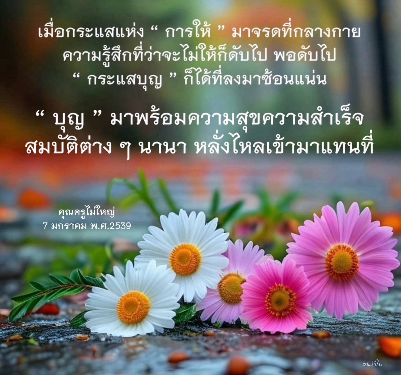 ค้นพบความหมายของการให้และกระแสบุญที่ส่งผลต่อความสุขและความสำเร็จในชีวิต จากแนวคิดของคุณครูไม่ใหญ่ ที่จะทำให้คุณเข้าใจถึงพลังแห่งการให้และผลลัพธ์ที่ตามมา