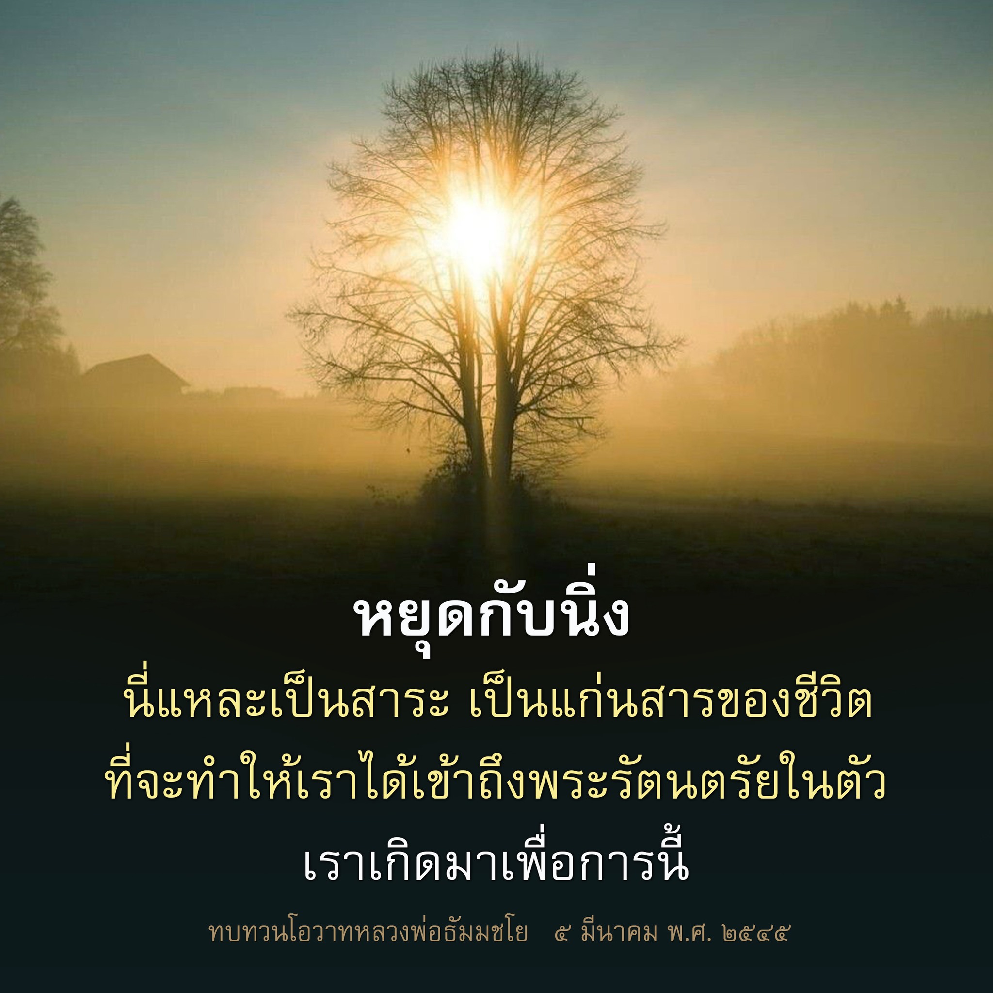 หยุดกับนิ่ง: แก่นสารของชีวิตและการเข้าถึงพระรัตนตรัย