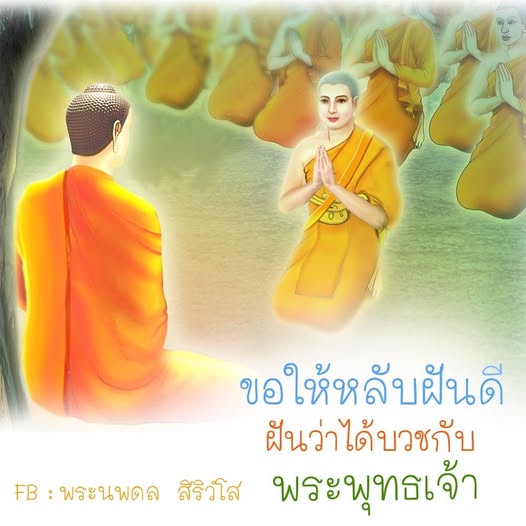 การ์ด No.11486:ราตรีสวัสดิ์