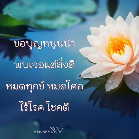 การ์ด No.9099:พระนพดล สิริวํโส