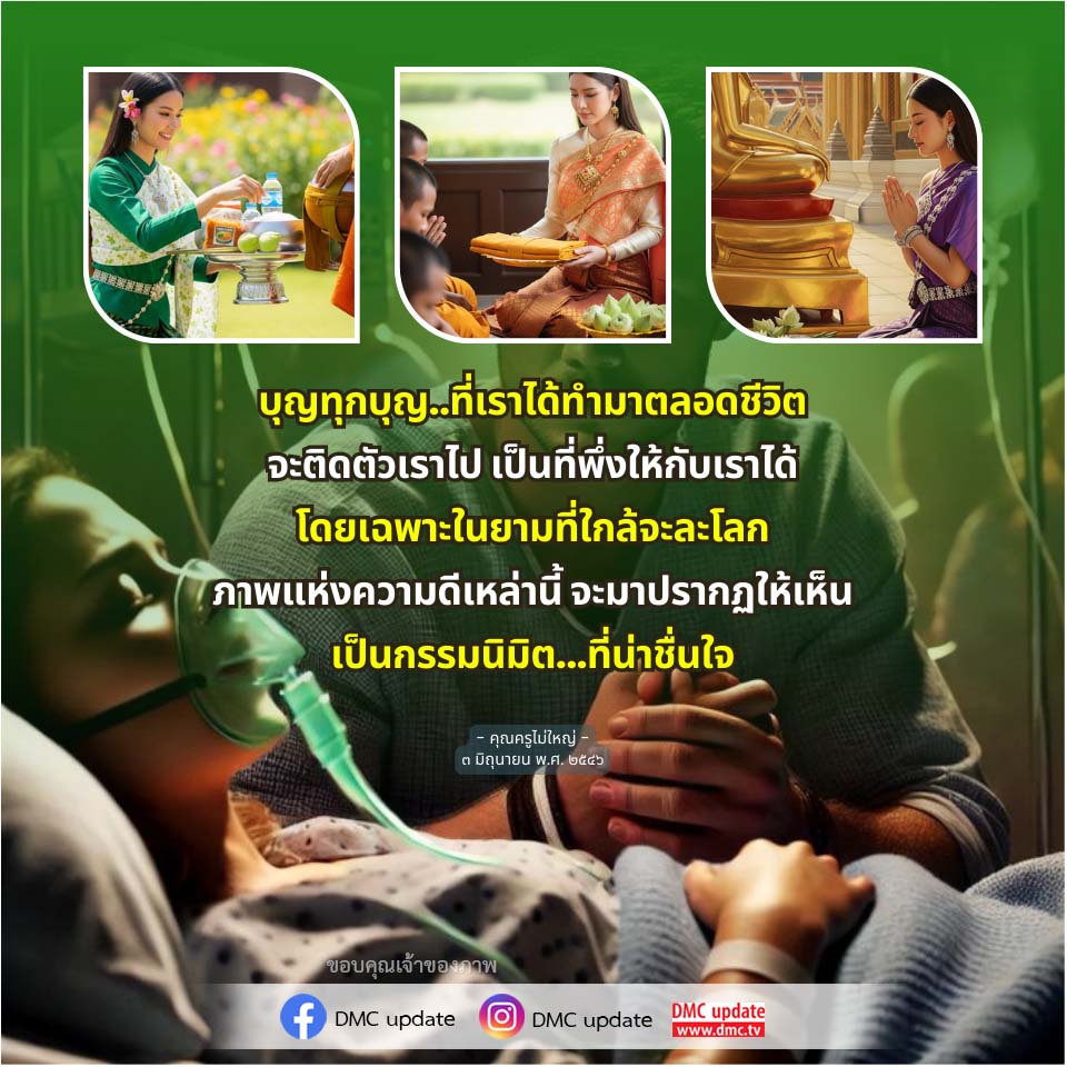 ภาพ No.16747:ทั่วไป