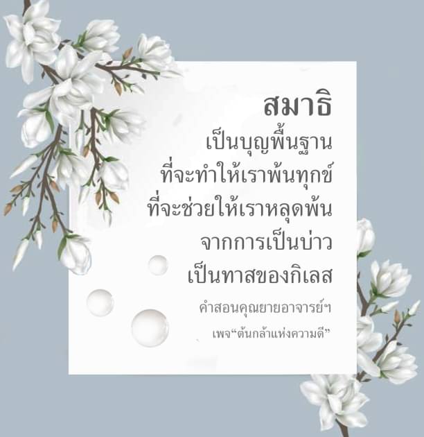ค้นพบความสำคัญของสมาธิในการพ้นทุกข์และการหลุดพ้นจากการเป็นทาสของกิเลส ผ่านคำสอนของคุณยายอาจารย์ในเพจ 'ต้นกล้าแห่งความดี' ที่จะช่วยเสริมสร้างบุญพื้นฐานให้กับชีวิตคุณ.