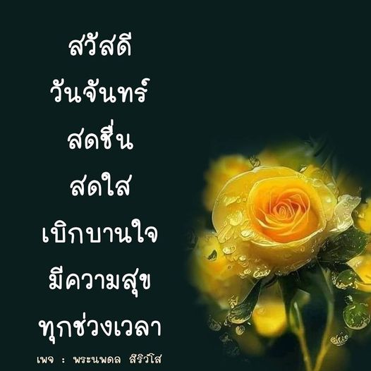 การ์ด No.9722:ภาพสวัสดียามเช้า