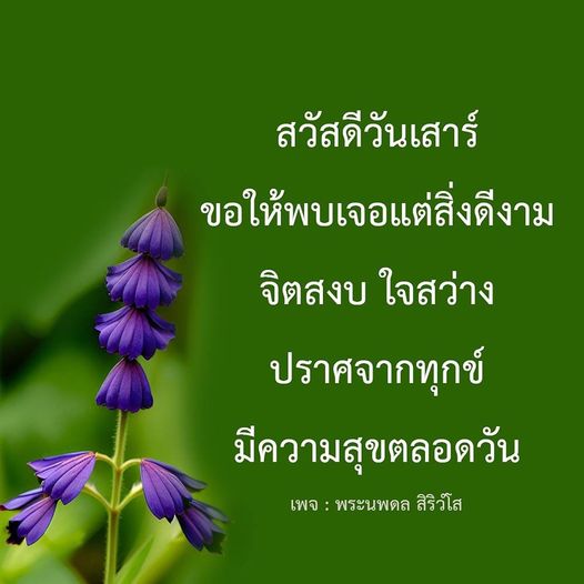 ขอให้ทุกคนมีความสุขในวันเสาร์นี้ พบเจอแต่สิ่งดีงาม จิตใจสงบ ใจสว่าง ปราศจากทุกข์ ติดตามความสุขเพิ่มเติมได้ที่เพจ พระนพดล สิริวํโส