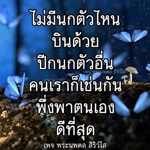 ค้นพบแนวคิดการพึ่งพาตนเองจากเพจ พระนพดล สิริวํโส ที่สอนให้เราเรียนรู้ว่าคนเราต้องพึ่งพาตนเองและไม่ควรพึ่งพาคนอื่นในทุกเรื่อง เพื่อการเติบโตและพัฒนาที่ดีที่สุดในชีวิต