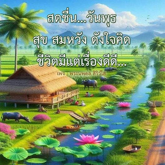 การ์ด No.10567:ภาพสวัสดียามเช้า