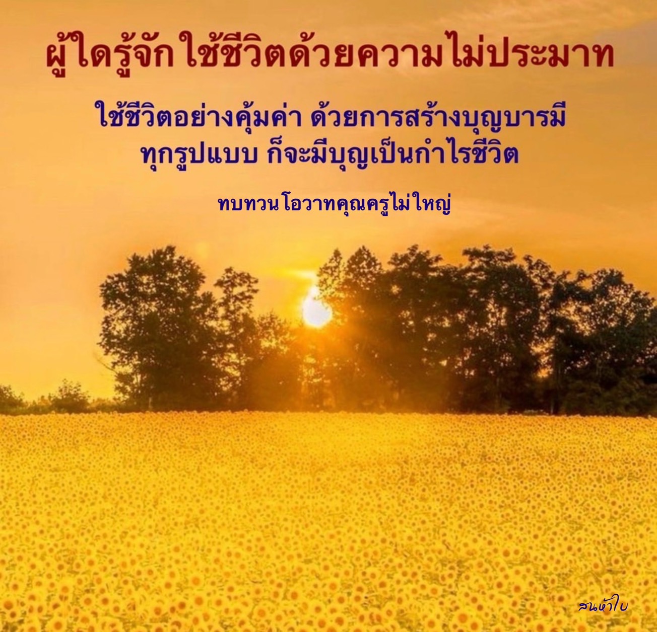 เรียนรู้การใช้ชีวิตอย่างมีคุณค่าและการสร้างบุญบารมีจากโอวาทของคุณครูไม่ใหญ่ เพื่อให้ชีวิตเต็มไปด้วยความหมายและกำไรจากบุญ.