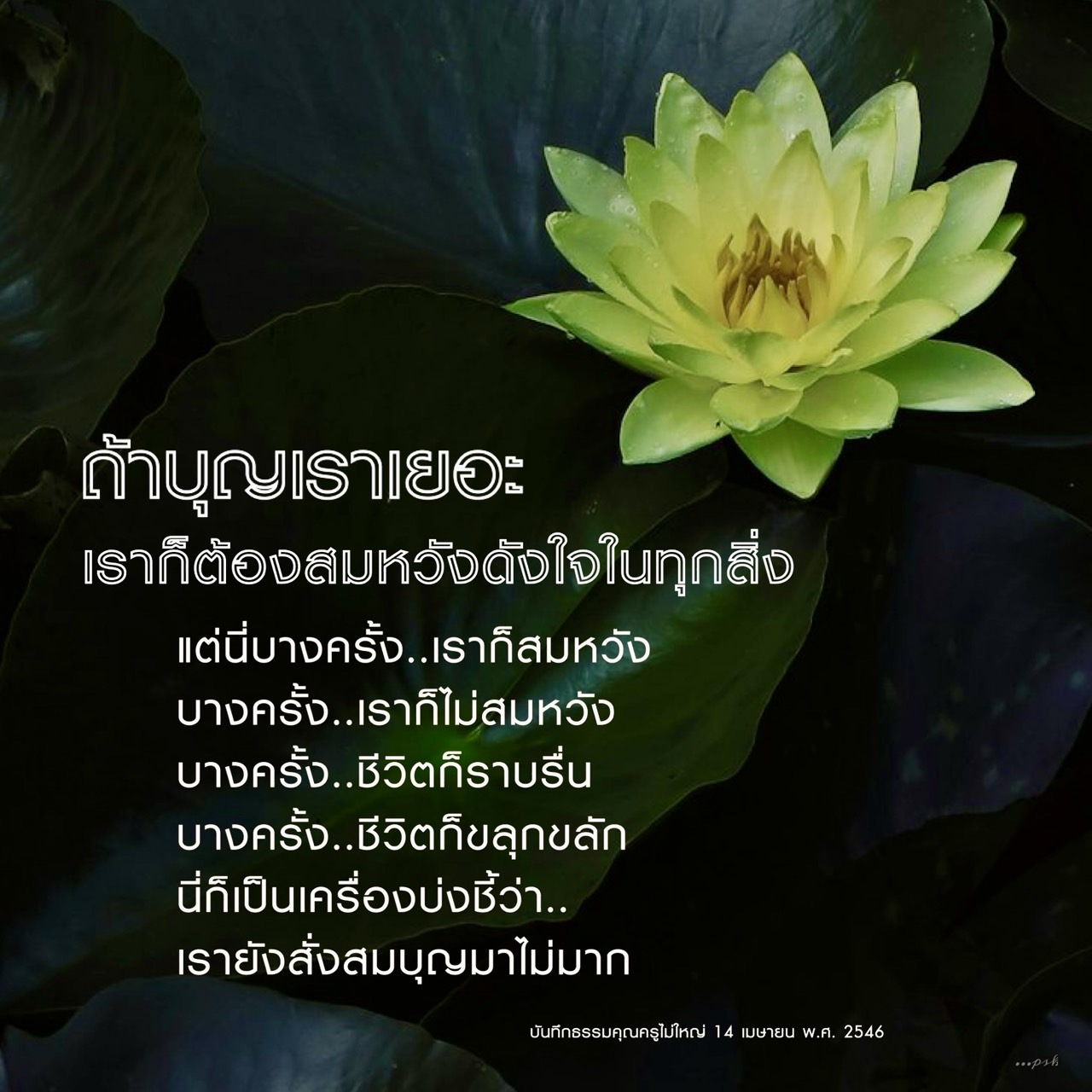 บุญและความสมหวังในชีวิต: การสะสมบุญเพื่อความสำเร็จ