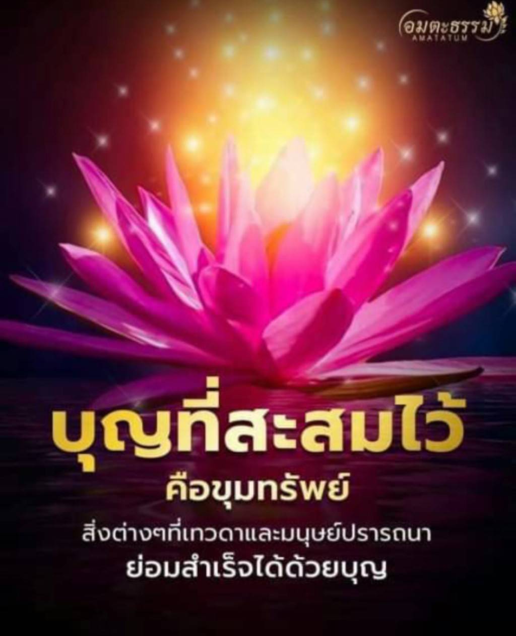 การ์ด No.11911:ทั่วไป