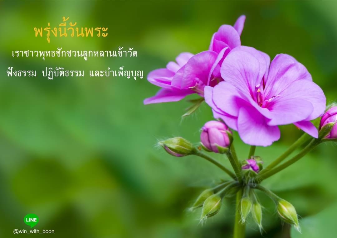 ภาพ No.6285:วันพระ