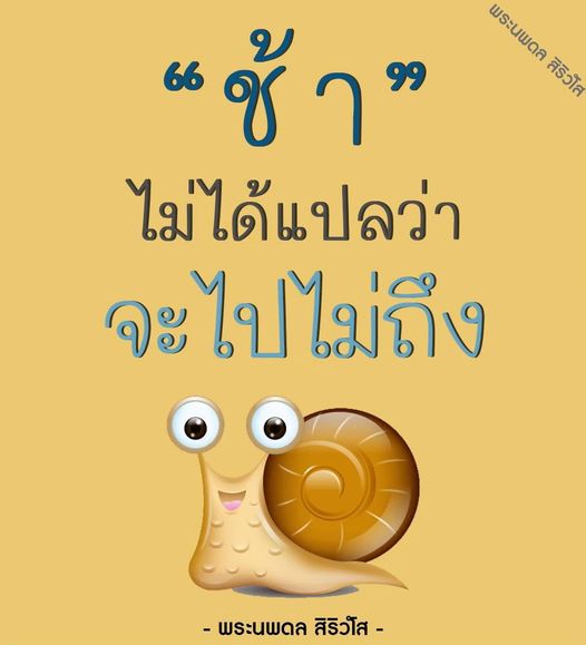 การ์ด No.10440:พระนพดล สิริวํโส