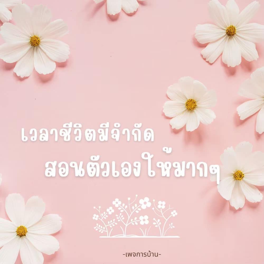 ภาพ No.16629:ทั่วไป