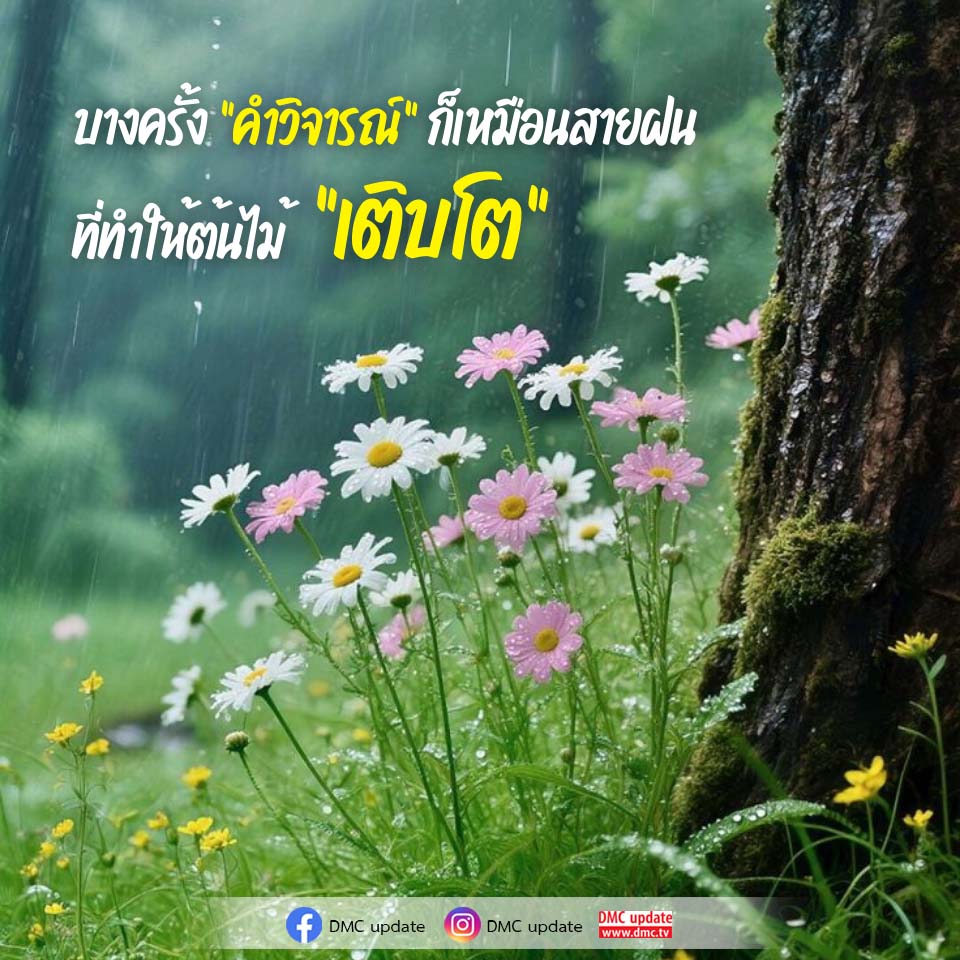 คำวิจารณ์ที่ทำให้เติบโต - DMC Update