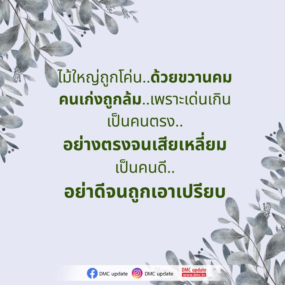 ไม้ใหญ่ถูกโค่น...ด้วยขวานคม - DMC Update