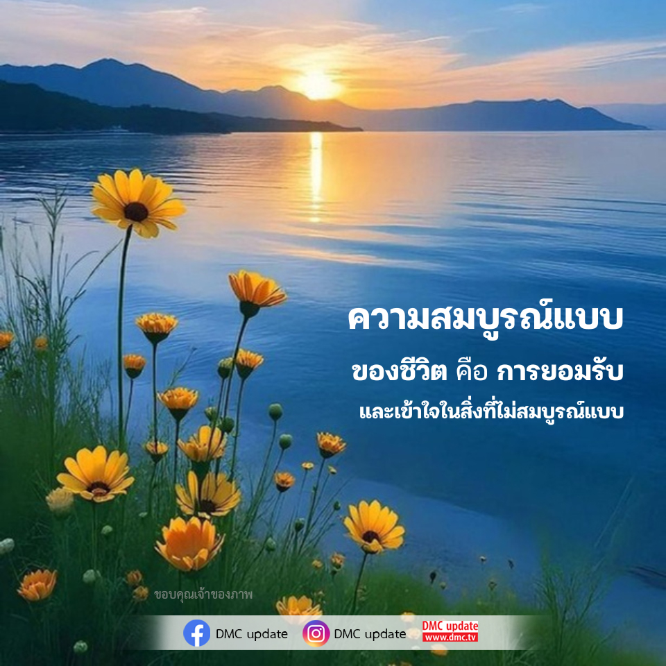 ความสมบูรณ์แบบของชีวิต: การยอมรับในสิ่งที่ไม่สมบูรณ์แบบ