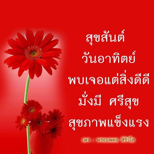 การ์ด No.11194:ภาพสวัสดียามเช้า
