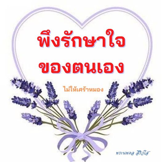 การ์ด No.11577:พระนพดล สิริวํโส