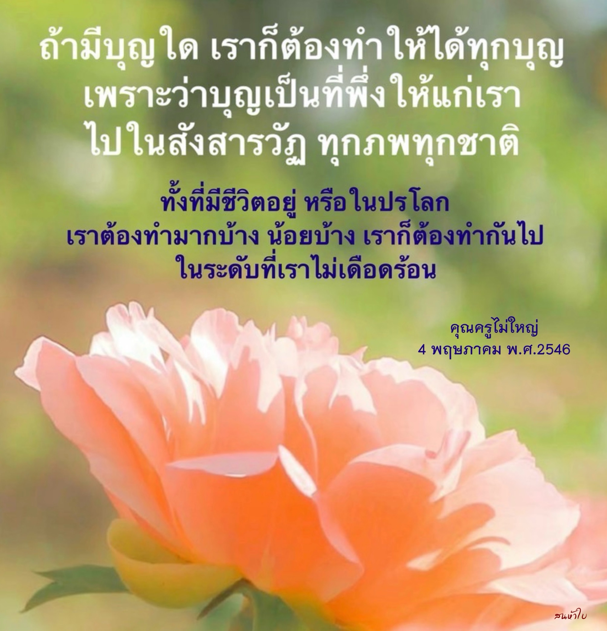 ทำบุญเพื่อชีวิตที่ดีขึ้นในทุกภพ