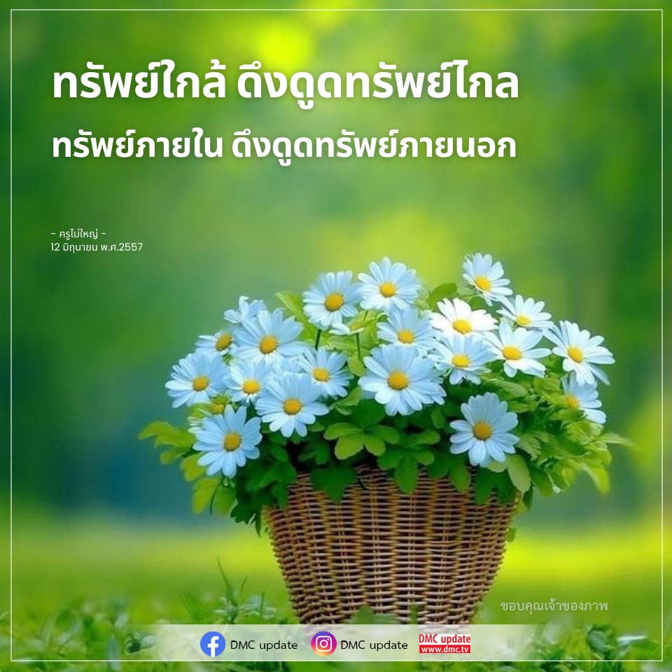 ภาพ No.16791:ทั่วไป