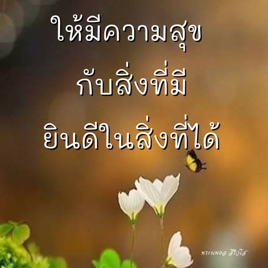 การ์ด No.11823:พระนพดล สิริวํโส