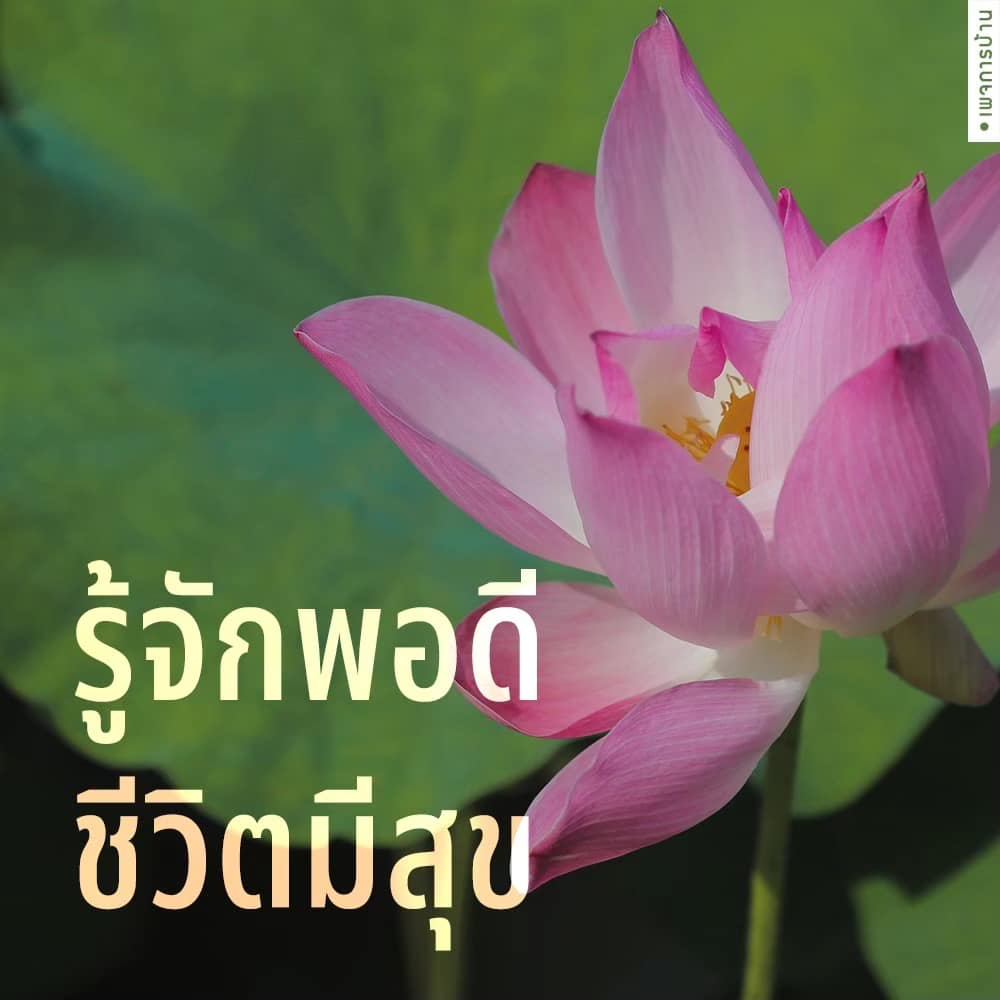 การ์ด No.8894:กำลังใจให้คุณ