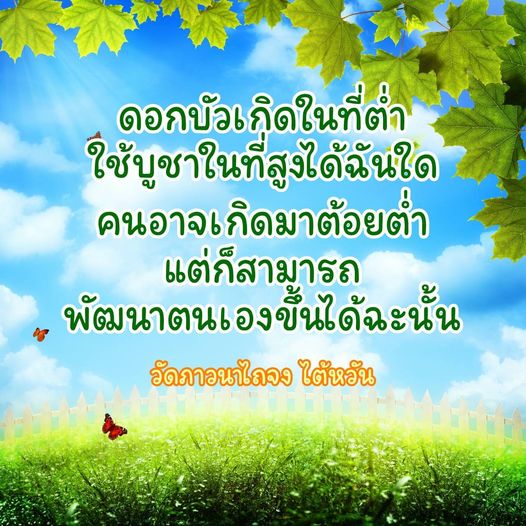 การ์ด No.10533:กำลังใจให้คุณ